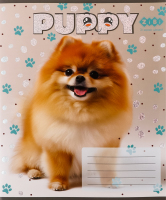 Тетрадь ученическая школьная в косую линию 12 листов №ZB25.1753C Dogs Kids line ZiBi 1шт
