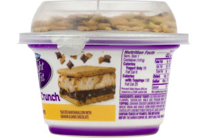 Dannon Light & Fit Greek Crunch Nonfat Yogurt S'mores