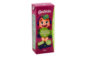 Сік неосвітлений пастеризований яблучно-чорничний Galicia т/п 0.2л