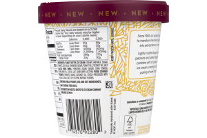 Haagen-Dazs Ice Cream Peanut Butter Salted Fudge