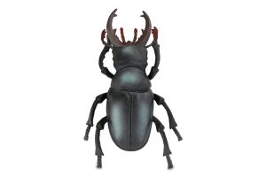 Іграшка Комаха в асортименті