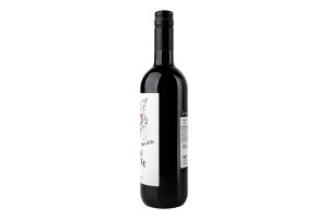 Вино La Bonne Journee Syrah IGP Pays d'Oc чер сухе