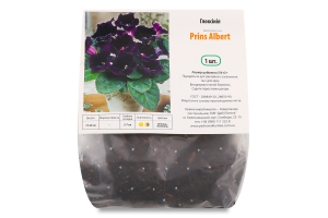 Бульба Глоксінія Принц Альберт Яскрава