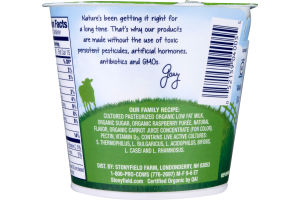 Stonyfield Organic Smooth & Creamy Lowfat Raspberry