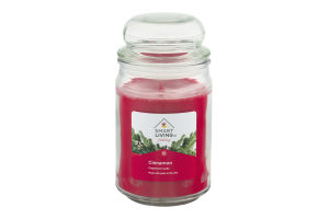 Smart Living Holiday Fragranced Candle Cinnamon