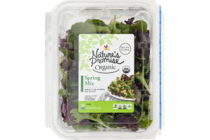 Nature's Promise Organic Spring Mix