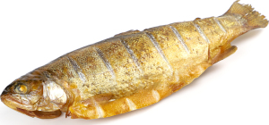 Форель радужная горячего копчения ЭК