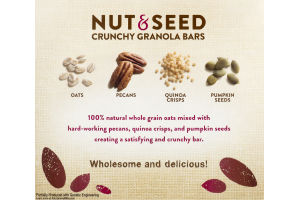 Nature Valley Nut & Seed Crunchy Granola Bars Honey Pecan - 10 CT