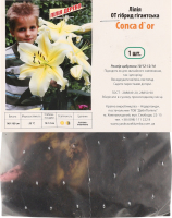 Цибулина Лілія OT Конка Доо гібрид Яскрава