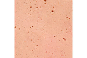 Ковбаса варена Лікарська Savin в/с кг