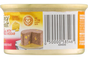 Fancy Feast Delights Cat Food Classic Salmon & Cheddar