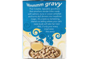 Purina Friskies Gravy Sensations Seafood Favorites Cat Food Variety Pack - 12 CT