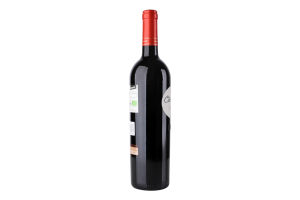 Вино 0.75л 14.5% червоне сухе Priorat Clos del Mas пл