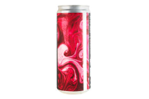 Пиво 0.33л 4% світле нефільтроване непастеризоване Кисіль Smoothie pastry sour Шо brewery з/б