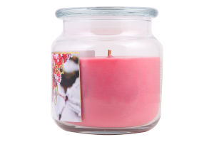 Свічка ароматична Frosted cranberry скло 350г Пако ІФ