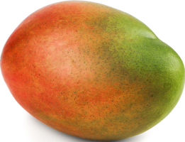 Mango TFC