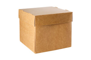 Коробка для бургера Le Silpo 120*10*110