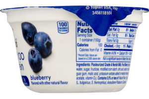 Yoplait Greek 100 Protein Fat Free Yogurt Blueberry
