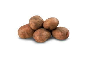 Картофель Беллароса