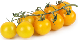 Томат Єлоріта чері жовтий