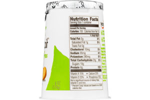 Yoplait Lactose Free Low Fat Yogurt Peach