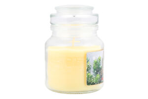 Свічка ароматична ТО205 Ваніль-Мандарин скло Пако ІФ