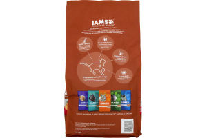IAMS High Protein Cat Food Chicken & Salmon
