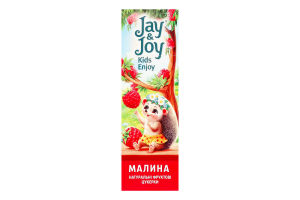 Конфеты фруктовые натуральные Малина Jay&Joy к/у 32г