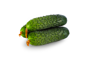 Огірок Рівненський короткоплідний