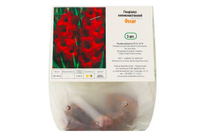 Цибулина Гладіолус Оскар 3шт Яскрава