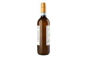 Вино 0.75л 12% біле сухе виноградне DOC Delle Venezie Піно Грі Terra Italianica пл