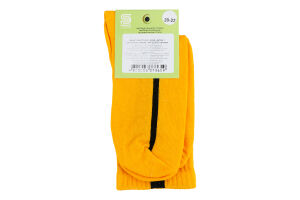 Шкарпетки дит Premier socks Економ UA гірч р.20-22