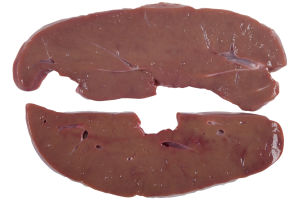 Veal Liver - 2 CT