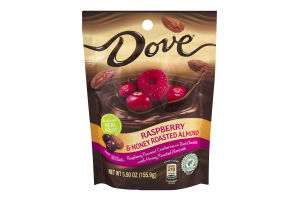 Dove Raspberry Flavored Cranberries in Dark Chocolate with Honey Roasted Almonds