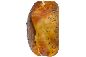 Ahold Turkey Breast Homestyle