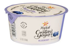 Yoplait Custard Yogurt Blueberry