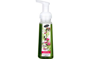 CareOne Foaming Hand Soap Mistletoe Kisses