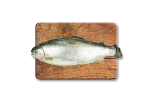 Форель 4+ охлажденная LS