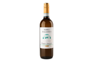 Вино 0.75л 12% біле сухе виноградне DOC Delle Venezie Піно Грі Terra Italianica пл