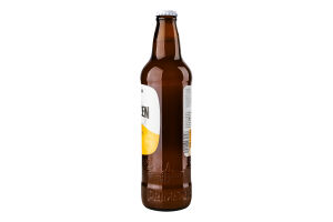Пиво Primator Weizenbier 0,5л x20