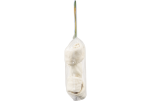 Companion Rawhide 5-6" Bones - 2 CT