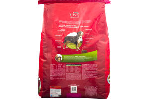 Purina One SmartBlend Lamb & Rice Formula Adult Dog Food