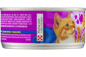 Purina Friskies Turkey Dinner In Gravy