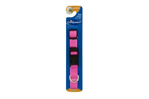 Companion Dog Collar Adjustable Medium