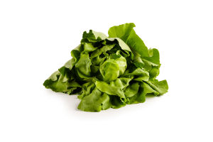 Салат Пучок-Свіжачок Масляний зелений