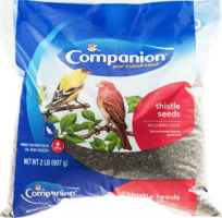 Companion Wild Bird Food Thistle Seeds