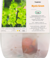 Цибулина Гладіолус Містік Грін 3шт Яскрава