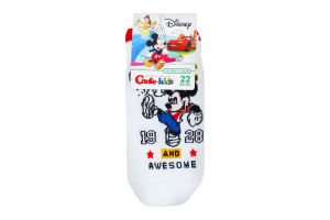Носки дет Conte-kids Disney 17С171 белый р22 370