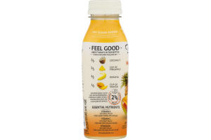 Bolthouse Farms 100% Fruit Juice Smoothie Mango Pineapple Colada