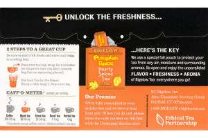 Bigelow Pumpkin Spice Hearty Spiced Tea Bags - 20 CT